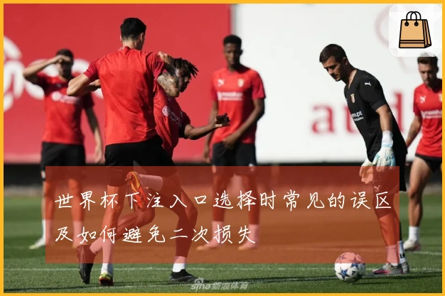 世界杯下注入口选择时常见的误区及如何避免二次损失