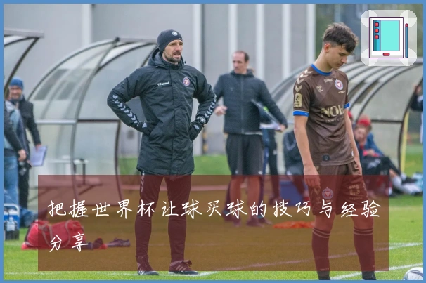 把握世界杯让球买球的技巧与经验分享