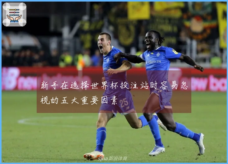 新手在选择世界杯投注站时容易忽视的五大重要因素